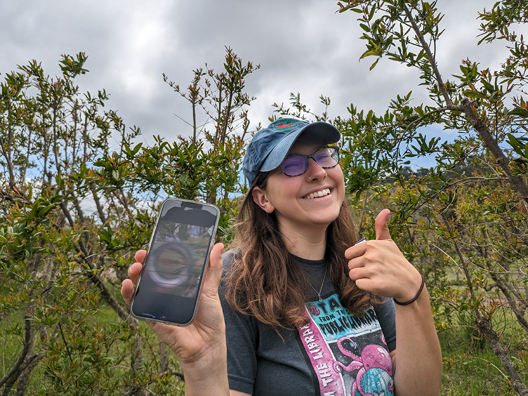 5. For Akemon, consistency and documentation are some of the most important things she has learned in the class so far. 

During the lab, students had to document the bugs they found by uploading a photo and some notes into an app on their phone.  

“Our entire camera roll just ends up being bugs,” Akemon said.
Photo Credit: Ashley Bolter, April 18, 2024, Cal Poly San Luis Obispo orchards